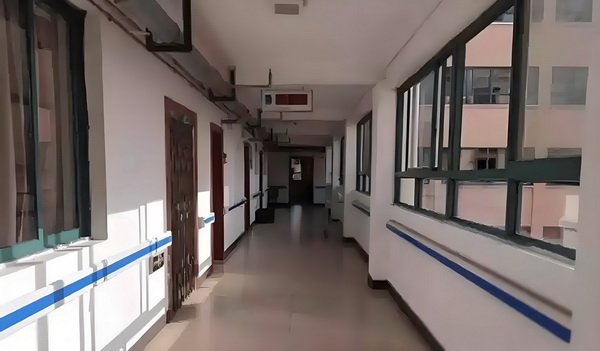 本科生入户的政策_董璇失去的口碑,竟然被自己9岁的女儿挽回了 对比的是形成鲜明与之